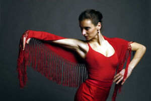 Flamenco Impressionen - Companie Theresa Lantez