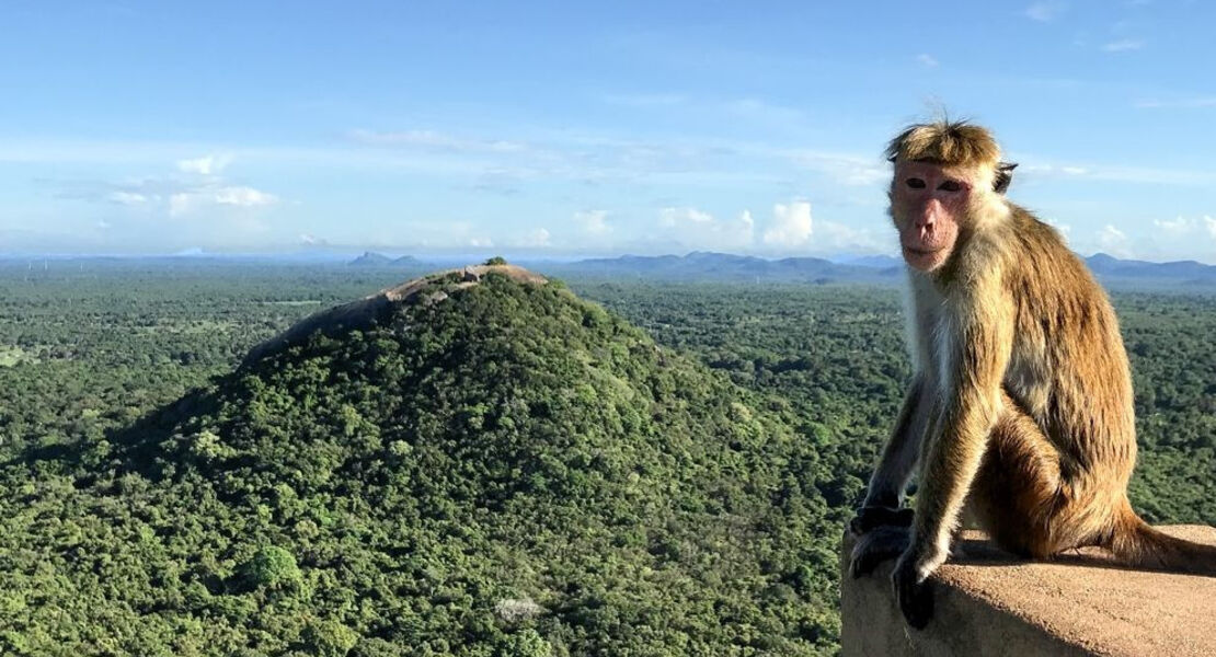 sri-lanka-natur-kultur-und-vielfalt