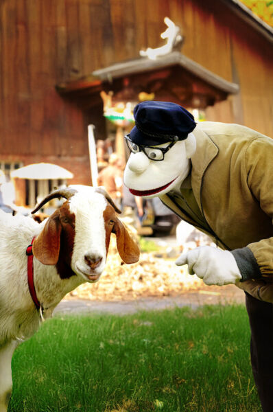 werner-momsen-momsen-tiere-sensationen