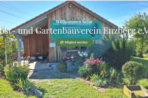 Schnittkurs an Obstbäumen beim OGV Enzberg