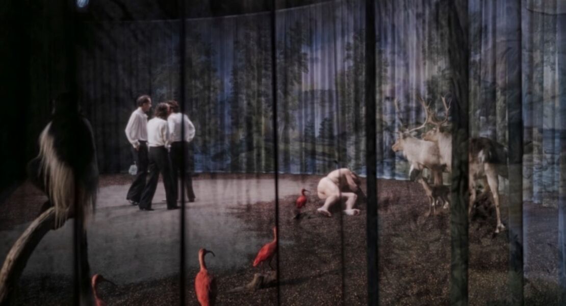 die-kleinen-meerjungraun