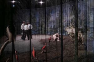 Die kleinen Meerjungraun