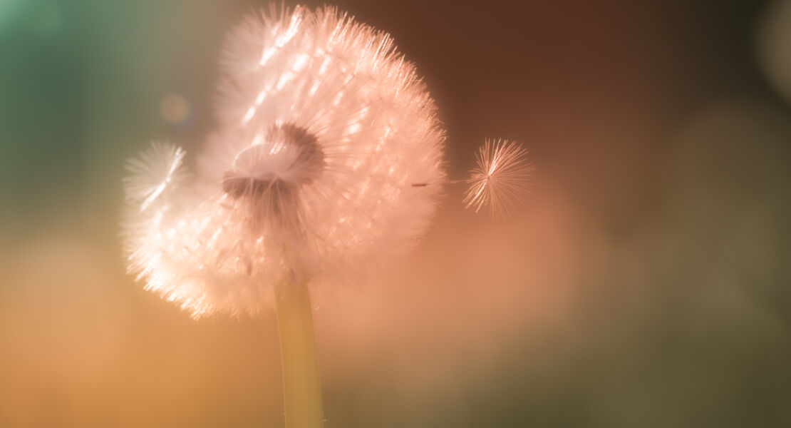 durchatmen-das-besondere-erholungskonzept-im-teinachtal