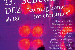 4.coming home for christmas