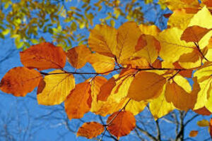 Umarmen und Loslassen