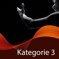 10er-Vorteils-Paket - Kategorie 3 - 10 Konzerte