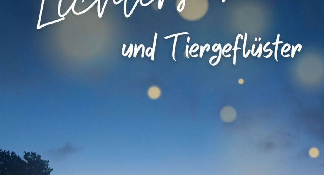 heinz-strunk-kein-geld-kein-gluck-kein-sprit-die-heinz-strunk-show