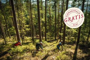 Trailschnuppern im Frühjahr