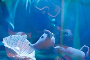 mutig, mutig - Lorenz Pauli & Kathrin Schärer / 3+