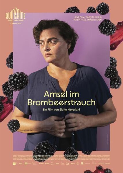 amsel-im-brombeerstrauch