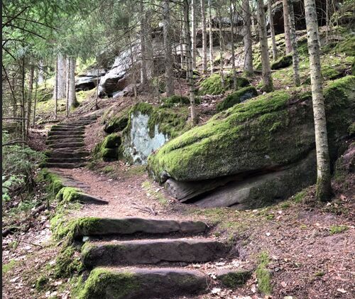 konigliche-geschichte-bad-teinach-wandertour