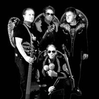 Los Companeros