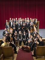 VI. Sinfoniekonzert | Brahms Gigant