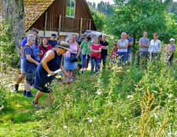 Wildkräuter- und Permakulturführung über den Carmelittenhof