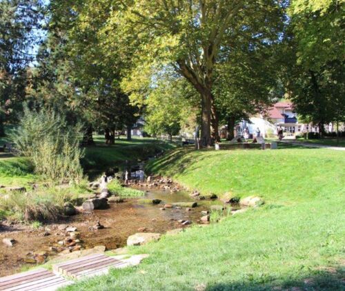 sommer-matinee-im-kurpark