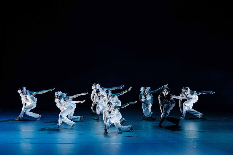 schwanensee-neues-tanzstuck-von-guido-markowitz-und-mar-rodriguez-valverde