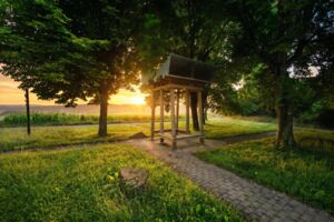 Wenn der Wellnesswald erwacht