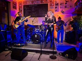 The Boozeblues - Kneipenkonzert