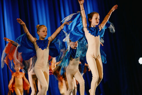 tanzen-ist-sommertanzprogramm-der-quertanzer-borna