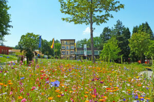 Sonneninsel Streetfood Sommer | Eröffnungswochenende mit Lekka Catering