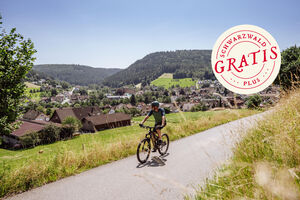 Mountainbike und Gartenschau