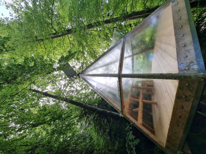 atmen-im-baumhaus-erlebe-natur-erfahre-atem-wecke-deine-kraft