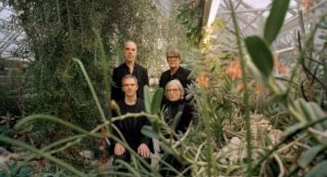 element-of-crime-unscharf-mit-katze-live-2026