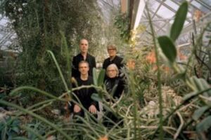 ELEMENT OF CRIME - Unscharf mit Katze Live 2026