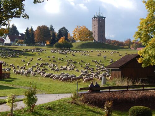wasserturm-dobel