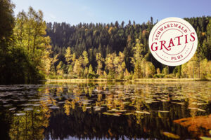 Naturerlebniswanderung zum idyllischen Ellbachsee