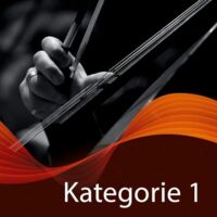 10er-Vorteils-Paket - Kategorie 1 - 10 Konzerte