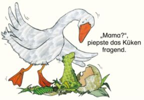 ONILO // Das grüne Küken