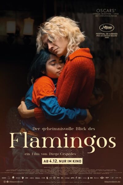 der-geheimnisvolle-blick-des-flamingos