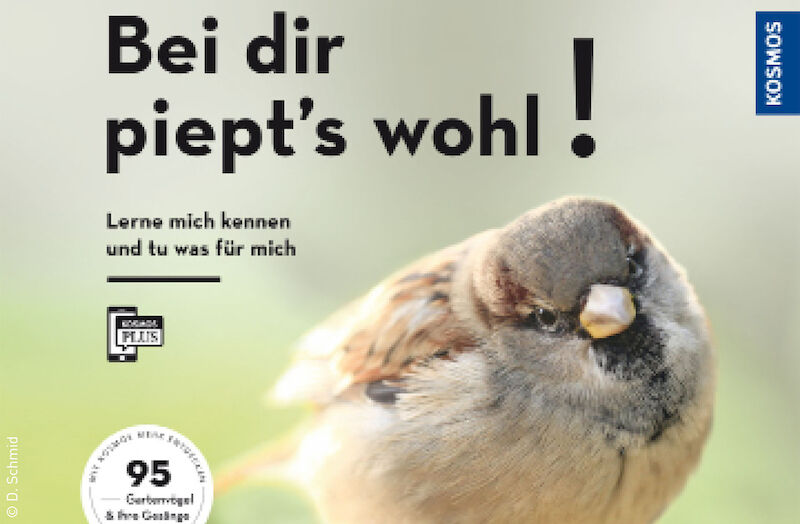 bei-dir-piepts-wohl-barbel-oftring