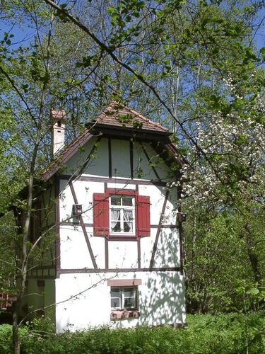 naturschutzgebiet-heimbachaue-in-betzweiler