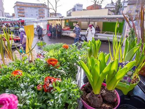 wochenmarkt