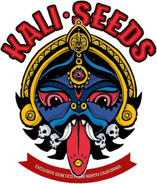 kaliseeds-homegrown-cup-festival-tickets-ab-18-nur-per-mail-infokaliseedsde