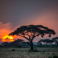 Seminar Landschaft und Natur Fotografie