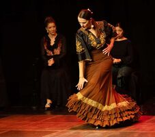 Flamenco