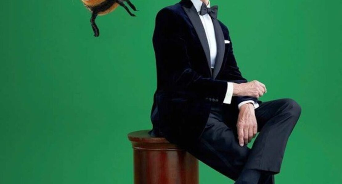 max-raabe-palast-orchester-hummeln-streicheln