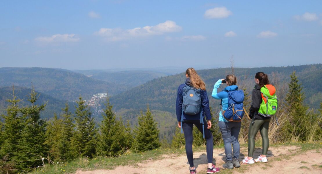 spazierwandern-im-heilklima-sattelhutte-falkenstein