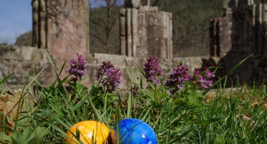 kinderfuhrung-klosterei