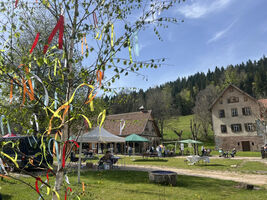 Saisonstart im Kulturpark Glashütte Buhlbach