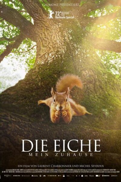 die-eiche-mein-zuhause