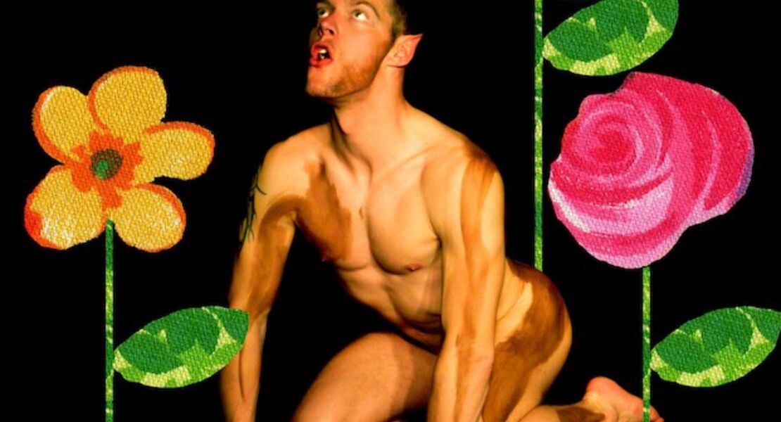 sommernachtstraum-ein-ballett-des-tanzforum-munchen