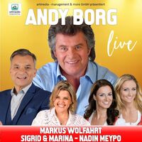 Andy Borg - live