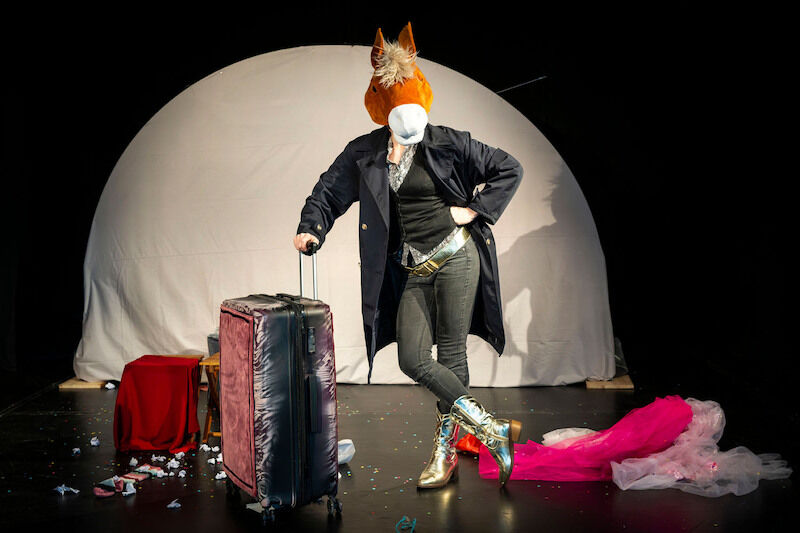 pony-im-koffer