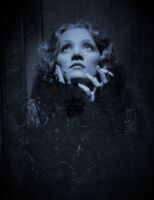 Nachtgedanken - Ein LeseKonzert mit Songs von Edith Piaf, Gilbert Bécaud, Hildegard Knef und Marlene Dietrich