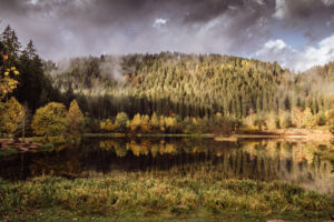 Erzählspaziergang im Sankenbachsee