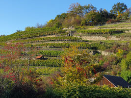 Wälder, Wiesen, Wasser, Werkstein und Wein
